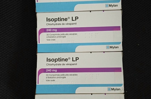 Isoptine LP 240mg 30 viên 